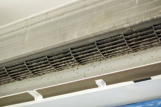 Best HVAC Duct Inspection Services  in Tye, TX